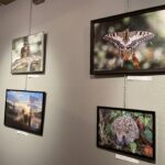 salon art (21)